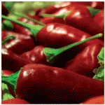 DECORATIVE PICTURE PEPERONCINI CM 30X30X1,8 TWINSOR EC21605