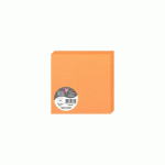 LOT DE 2 - PAQUET DE 25 CARTES PLIÉES POLLEN 135X135MM 210G/M² - CLÉMENTINE