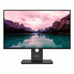 LENOVO THINKVISION T24-40 MONITEUR