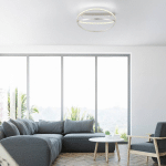 Q-SMART-HOME PAUL NEUHAUS Q-BELUGA PLAFONNIER LED, ACIER