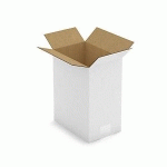 CAISSE CARTON BLANCHE SIMPLE CANNELURE RAJA 23X15,5X30 CM