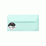 LOT DE 2 - PAQUET DE 20 ENVELOPPES POLLEN 110X220MM 120G/M2 - VERT JADE