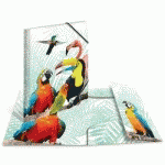 CHEMISE À ÉLASTIQUES ANIMAUX EXOTIQUES, A3, OISEAUX - LOT DE 5