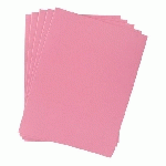 CHEMISE STANDARD 210 G BRUNEAU 24 X 32 CM ROSE - PAQUET DE 100