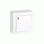 INTERRUPTEUR VA-ET-VIENT ALREA 10A LUMINEUX - SCHNEIDER ELECTRIC - SHN0262057P