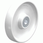 ROUE EN POLYAMIDE PO 250_25K - BLICKLE