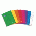 CAHIER EASYBOOK EN POLYPRO À RABATS AGRAFÉ 24 X 32 CM 96 PAGES SÉYÈS ASSORTIS - LOT DE 10
