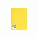 PAQUET DE 5 FEUILLES POLLEN 210X297MM 120G/M² - SOLEIL - LOT DE 10