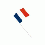 DRAPEAU FRANÇAIS EN PAPIER À AGITER