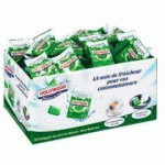 CHEWING GUM HOLLYWOOD GREEN FRESH - CARTON DE 250 SACHETS INDIVIDUELS