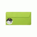 PAQUET DE 20 ENVELOPPES POLLEN 110X220MM 120G/M² - VERT MENTHE - LOT DE 4