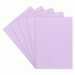 CHEMISE STANDARD 160 G 24 X 32 CM COULEUR - PAQUET DE 100 - VIOLET