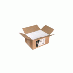 CARTON DE 200 ENVELOPPES POLLEN 110X220MM 120G/M² - BLANC