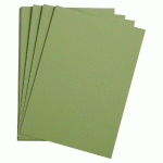 ETIVAL COLOR PAQUET 25F A3 160G - VERT POMME - LOT DE 2