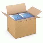 CAISSE CARTON BRUNE ET BLANCHE SIMPLE CANNELURE RAJA LONGUEUR 40 À 49 CM