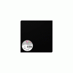 LOT DE 2 - PAQUET DE 25 CARTES SIMPLES POLLEN 160X160MM 210G/M2 - NOIR