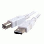 C2G - CÂBLE USB - USB POUR USB TYPE B - 3 M