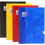 LOT DE 2 - CAHIER BROCHURE, A4, SEYÈS, 192 PAGES