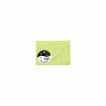 LOT DE 2 - PAQUET DE 20 ENVELOPPES POLLEN 75X100MM 120G/M² - VERT BOURGEON