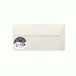 COLLECTION NATURA, PAQUET DE 20 ENVELOPPES POLLEN 110X220MM 120G/M2 - LOT DE 3