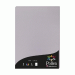 ETUI DE 50 FEUILLES POLLEN 210X297MM 120G/M2 - GRIS KOALA - LOT DE 3