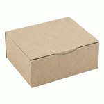 LOT DE 50 - BOÎTE POSTALE KRAFT BRUN SIMPLE CANNELURE H 10 X L 20 X P 25 CM