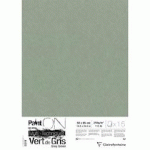 PAINTON VERT DE GRIS PAQUET 15F 50X65CM 250G - VERT DE GRIS - LOT DE 2