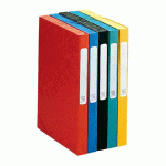 LOT DE 25 - CHEMISE BOX CARTE CARTOBOX EXACOMPTA 24 X 32 CM DOS 2,5 CM COULEURS ASSORTIES