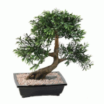 PLANTE ARTIFICIELLE D