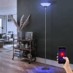 SMART HOME LAMPADAIRE PLAFONNIERS APP ET COMMANDE VOCALE LUMIÈRE DIMMABLE DANS UN ENSEMBLE COMPRENANT DES AMPOULES LED RVB