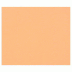 TULIPE RAME 25F 50X65CM 160G - SAUMON