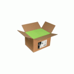 CARTON DE 200 ENVELOPPES POLLEN 162X229MM 120G/M² - VERT MENTHE