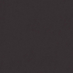 PAPIER PEINT UNI PAPIER PEINT INTISSÉ ANTHRACITE - 10,05 X 0,53 M - BRICOFLOR