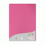 ETUI DE 25 FEUILLES POLLEN 210X297MM 210G/M2 - ROSE FUCHSIA - LOT DE 2