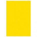 CLAIREFONTAINE POLLEN-ETUI DE 50 FEUILLES FORMAT 210X297 MM COLORIS JAUNE SOLEIL  120G RÉFÉRENCE 4217