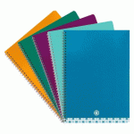 LOT DE 5 - CAHIER SPIRALE STANDARD BRUNEAU A4 21 X 29,7 CM PETITS CARREAUX 100 PAGES
