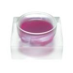 SANT NATRKOSMETIK  GLOSS  LVRES SANT NATURKOSMETIK