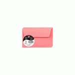 LOT DE 3 - PAQUET DE 20 ENVELOPPES POLLEN 90X140MM 120G/M2 - LITCHI