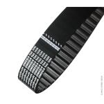 COURROIE DENTEE OMEGA 2800.14M55