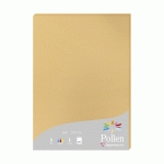 ETUI DE 25 FEUILLES POLLEN 210X297MM 210G/M2 - CARAMEL - LOT DE 2