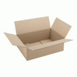 LOT DE 20 - CARTON CAISSE AMÉRICAINE KRAFT BRUN SIMPLE CANNELURE L 60 X L 40 X H 20 CM