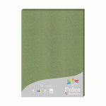 ETUI DE 25 FEUILLES POLLEN 210X297 210G/M2 - VERT SAUGE