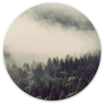 TABLEAU EN MÉTAL ROND MÉTALLISÉ BRUME FORÊT PHOTOGRAPHIE FORÊT NOIRE NATURE DÉCO Ø 30CM - VERT