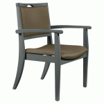 BRIDGE BARIATRIQUE GINKGO TERRE - STRUCTURE HÊTRE ANTHRACITE - SUNSET CREATION