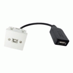 NEKLAN PLASTRON45X45USB B F/USB A F AMPLI-0,2M CÂBLE USB USB 2.0 USB B NOIR, BLANC