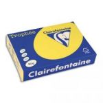 CLAIREFONTAINE RAMETTE DE 500 FEUILLES PAPIER COULEUR TROPHEE 80 GRAMMES FORMAT A4 JAUNE SOLEIL 1877