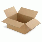 CAISSE CARTON LONGUE DOUBLE CANNELURE LONGUEUR 60 À 150 CM RAJA 70X20X20 CM