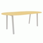 TABLE CONGRES 210X102 OBLONG HETRE 25MM PIEDS ALU