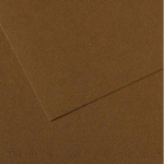 LOT DE 10 - PAPIER DESSIN CANSON FEUILLE MI-TEINTES N 501 GRAIN GELATINE HAUTE TENEUR COTON 160G 50X65CM UNICOLORE MARRON