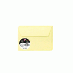 LOT DE 2 - PAQUET DE 20 ENVELOPPES POLLEN 114X162MM 120G/M2 - CANARI
